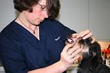 AUSCULTATION 126